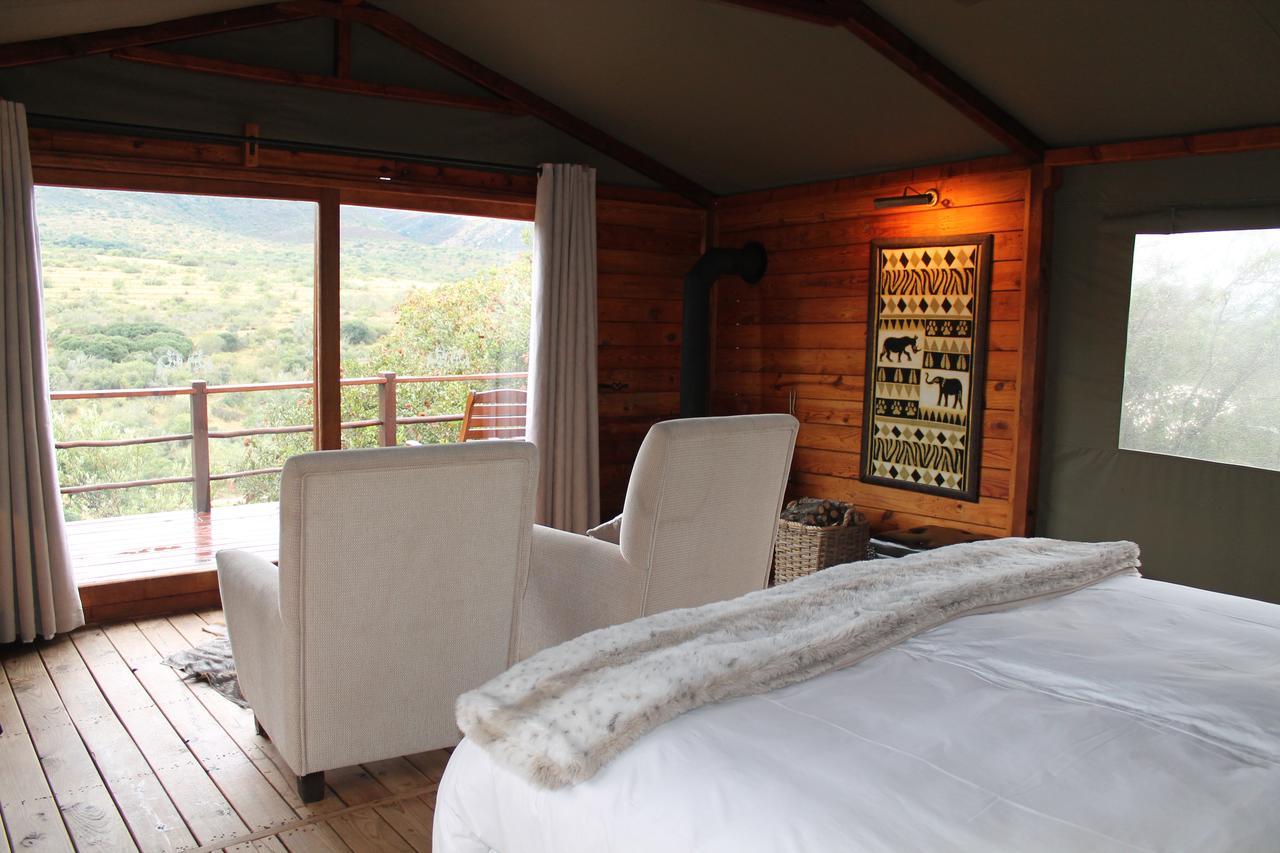 Addo Elephant Lodge & Safaris Kirkwood Εξωτερικό φωτογραφία