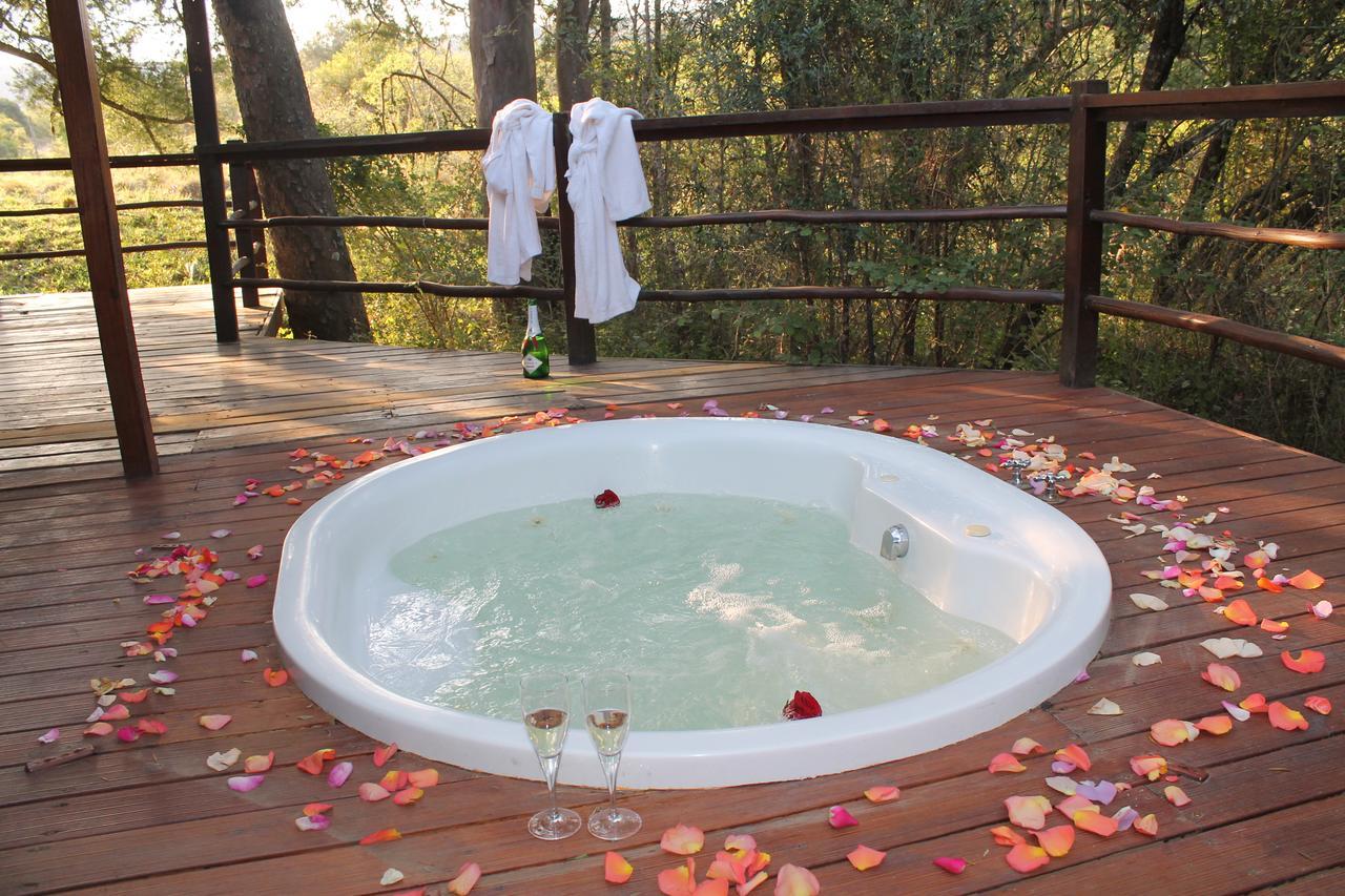 Addo Elephant Lodge & Safaris Kirkwood Εξωτερικό φωτογραφία