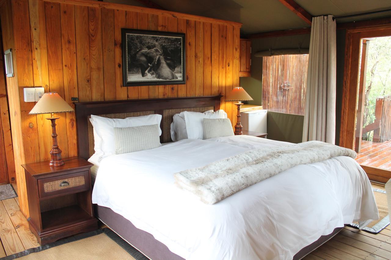 Addo Elephant Lodge & Safaris Kirkwood Εξωτερικό φωτογραφία