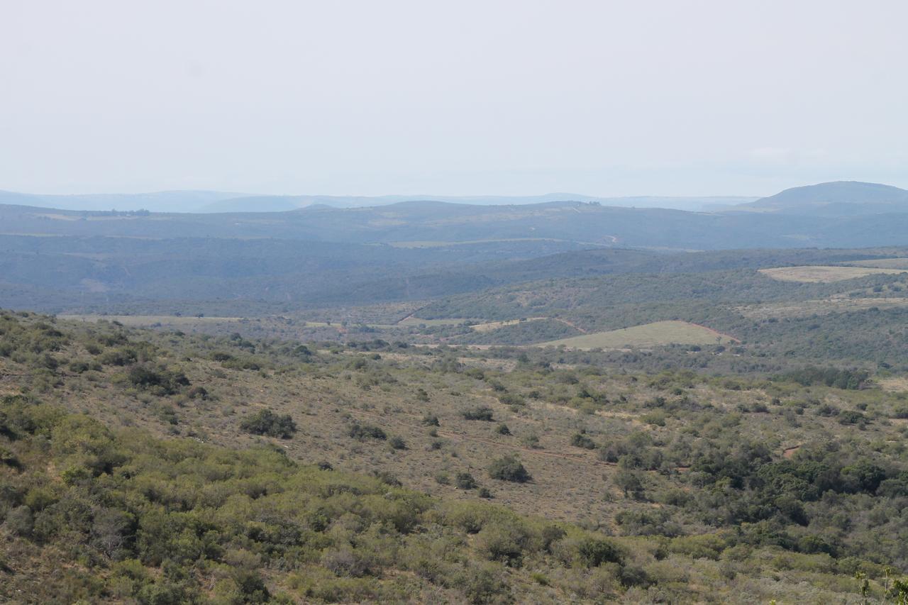 Addo Elephant Lodge & Safaris Kirkwood Εξωτερικό φωτογραφία