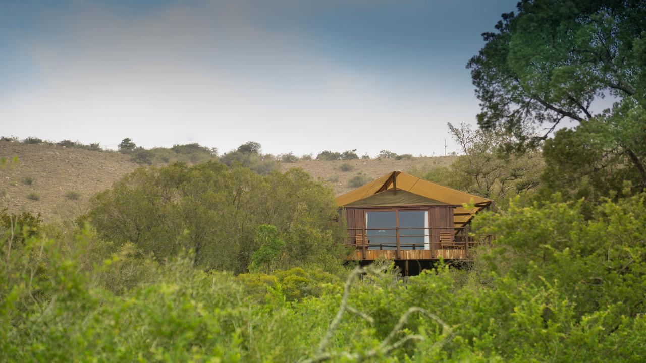 Addo Elephant Lodge & Safaris Kirkwood Εξωτερικό φωτογραφία