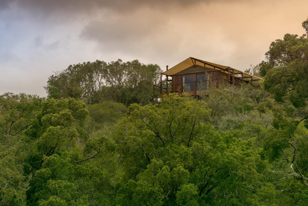 Addo Elephant Lodge & Safaris Kirkwood Εξωτερικό φωτογραφία
