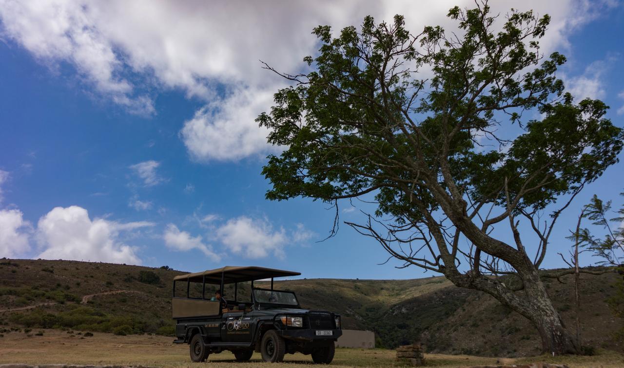 Addo Elephant Lodge & Safaris Kirkwood Εξωτερικό φωτογραφία