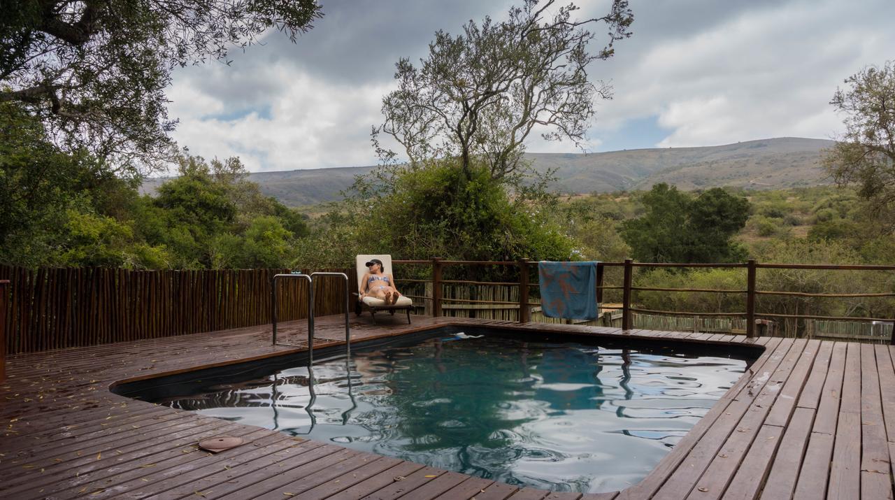 Addo Elephant Lodge & Safaris Kirkwood Εξωτερικό φωτογραφία