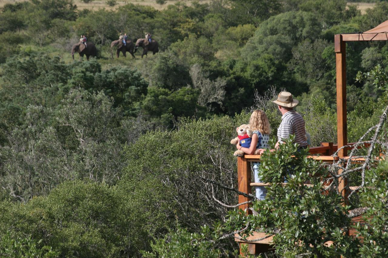 Addo Elephant Lodge & Safaris Kirkwood Εξωτερικό φωτογραφία