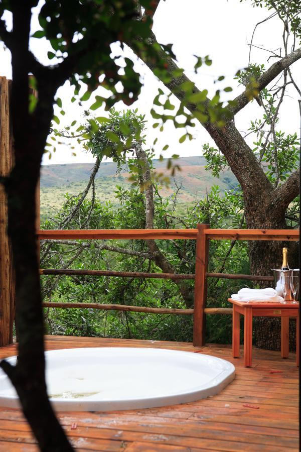 Addo Elephant Lodge & Safaris Kirkwood Εξωτερικό φωτογραφία
